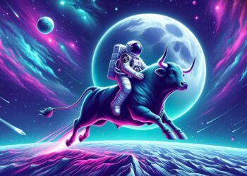 Embrace the Unknown: SpaceCatch Holds the Key